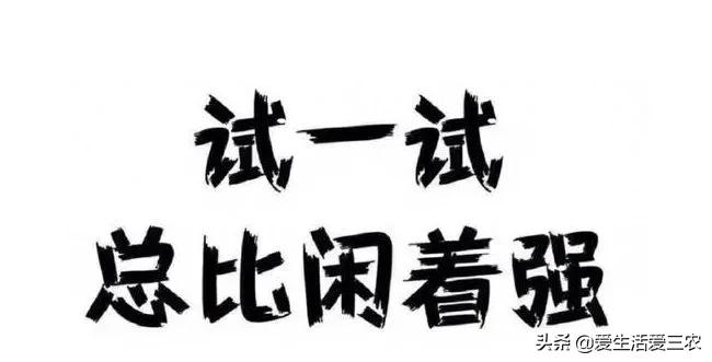 一個人低成本創業項目?農村低成本創業項目-專在家創業網