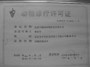 就業難？開寵物店需要什么手續？