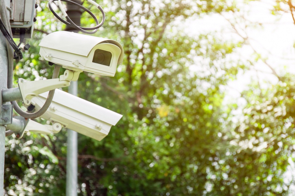 適合農村在家創(chuàng)業(yè)的項目(適合農村創(chuàng)業(yè)好項目)-專在家創(chuàng)業(yè)網