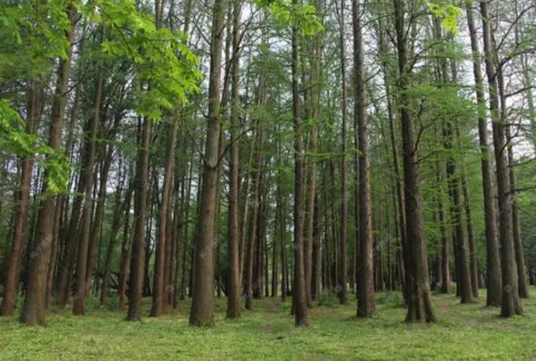 農(nóng)村創(chuàng)業(yè)要注意什么?你想知道的答案全都在這里,看看不吃虧