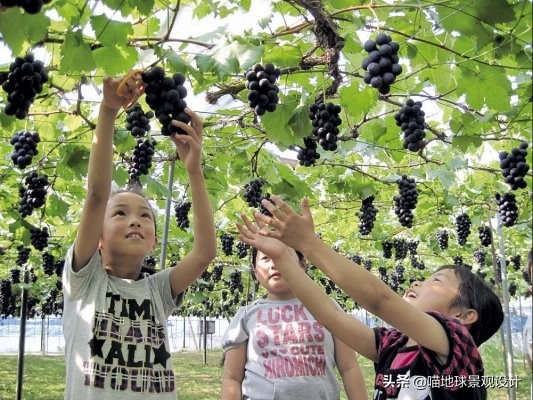 30個美麗鄉村盈利項目推薦