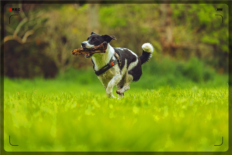 農村小成本創業適合做什么?小成本投資創業項目-專在家創業網