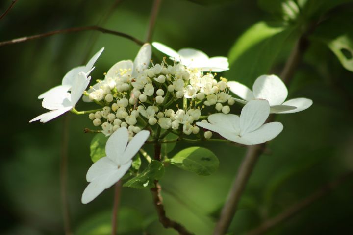 自主創業需要什么知識-專在家創業網