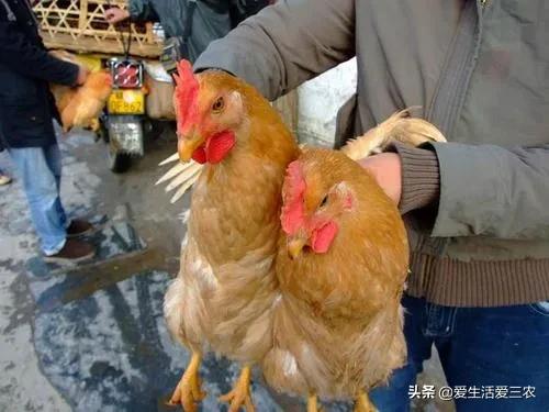 小生意賺大錢，你想不到的這些小生意，也能賺大錢