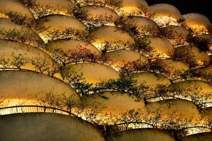 年輕人更適合創(chuàng)業(yè)