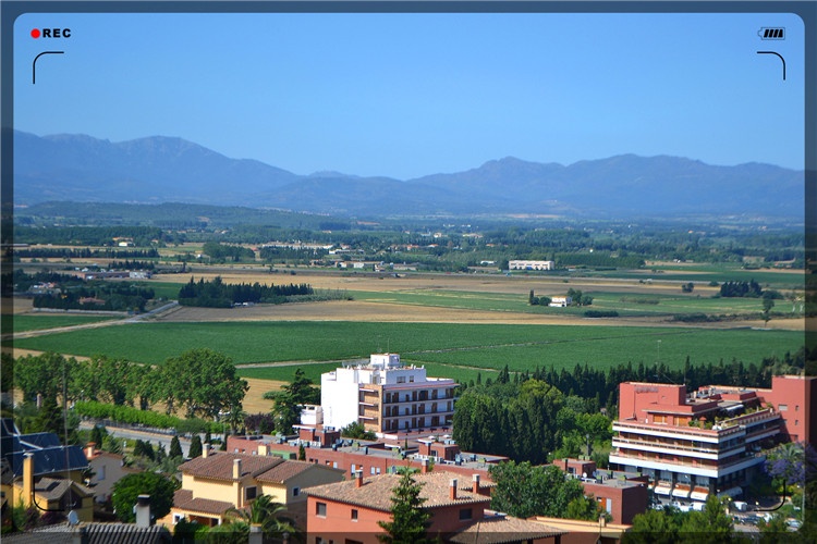 53歲人1000元本金,在農村,能做哪些每月收入2000元?