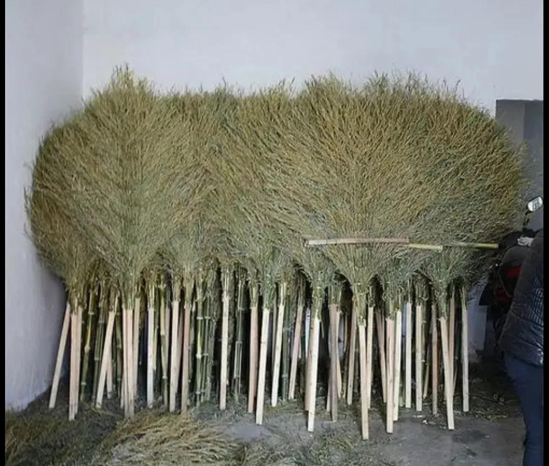 農(nóng)村創(chuàng)業(yè)要注意什么?你想知道的答案全都在這里,看看不吃虧