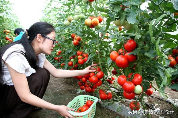 30個美麗鄉村盈利項目推薦