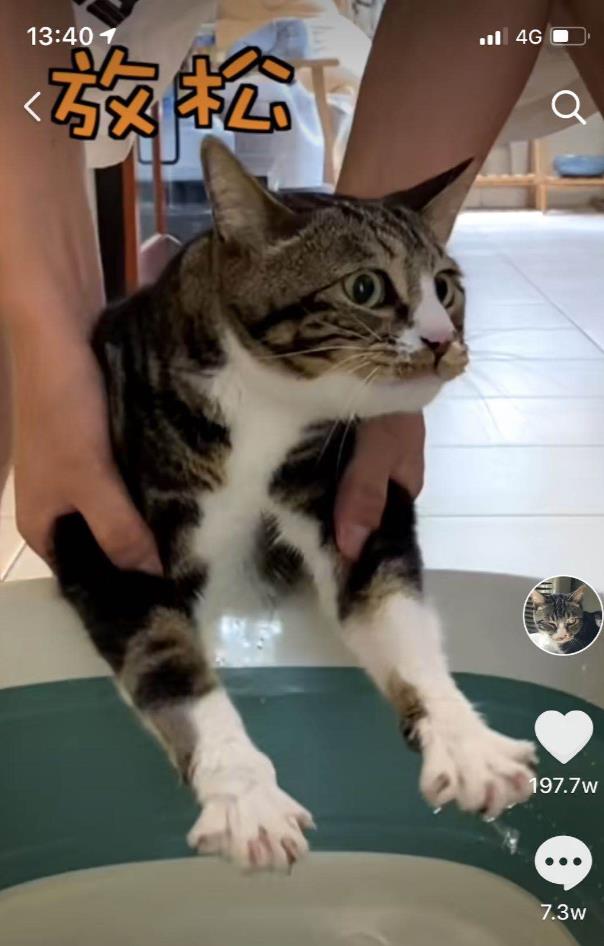 寵物店屬于什么行業(yè)類型?寵物店行業(yè)市場分析-專在家創(chuàng)業(yè)網(wǎng)