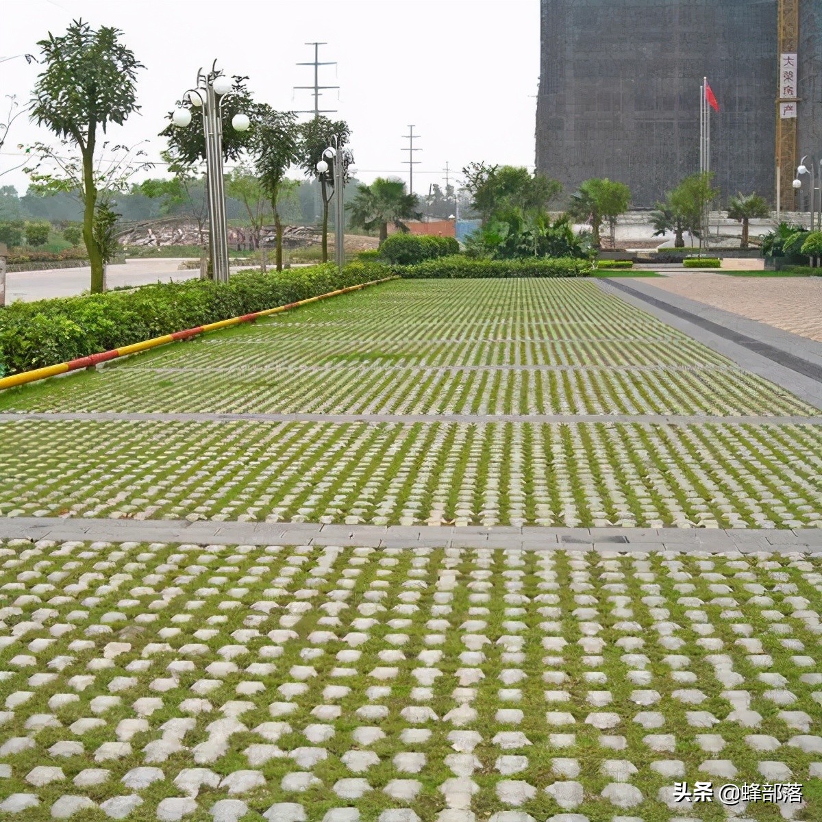 2021年農(nóng)村創(chuàng)業(yè)，有哪些項目可以選擇？這12個產(chǎn)品項目值得參考