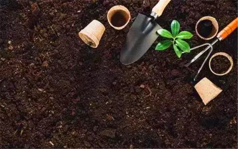 目前投資10萬以內的加工廠，有什么項目能年收入百萬的？推薦幾個