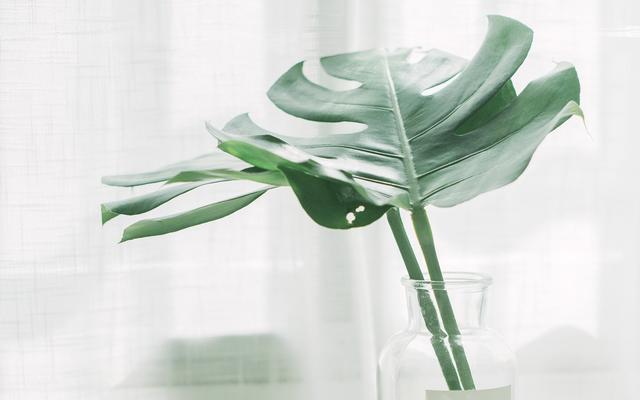 適合女性一個人做的小生意有哪些