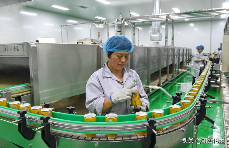 打算回農村創業，做哪些項目比較“穩妥”?聽聽投資人的建議