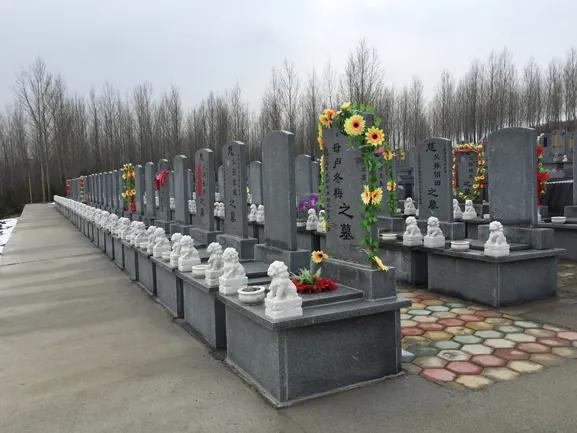 農村做什么好?推薦十個農村生意好項目-專在家創業網