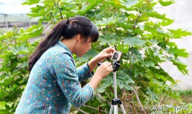 農村生意什么最好做？4個適合農村人做的好項目-專在家創業網