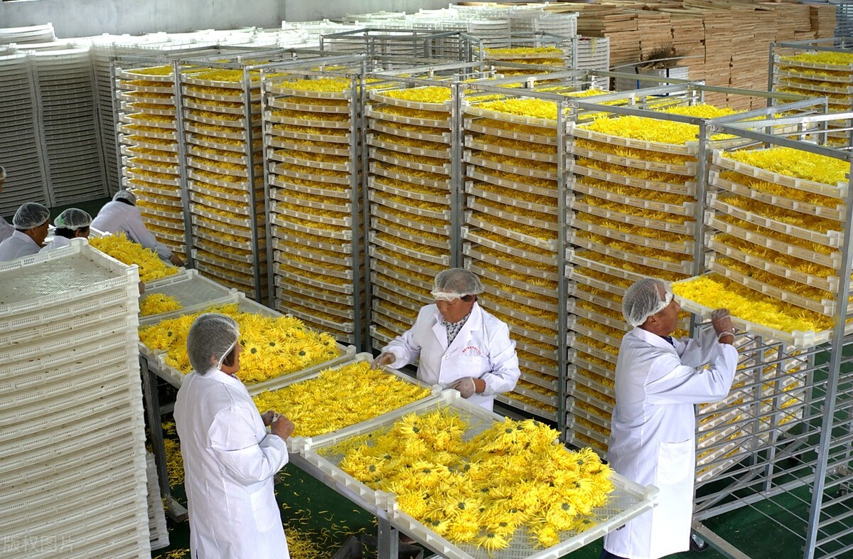 農(nóng)村創(chuàng)業(yè)迷茫者看這里，國家鼓勵投資的13個產(chǎn)業(yè)和領(lǐng)域公布（1）