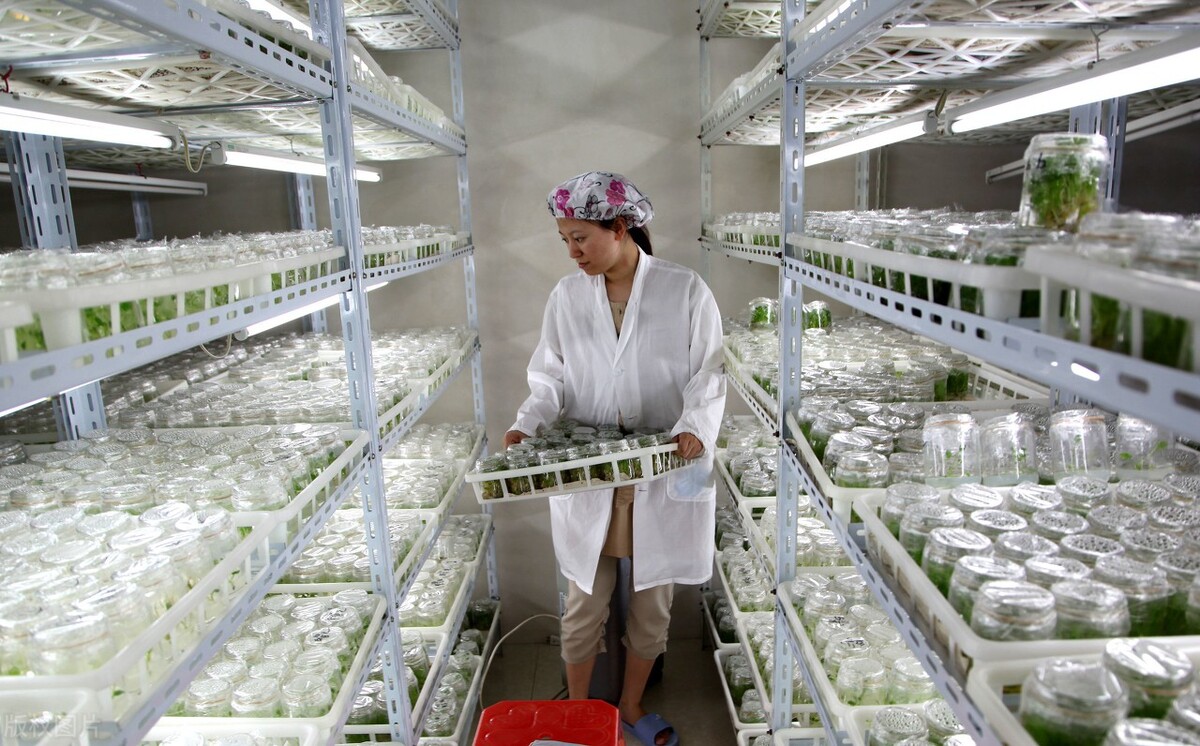 農(nóng)村不愁銷路的小型加工廠項(xiàng)目，總有一個(gè)適合你，看完趕緊收藏