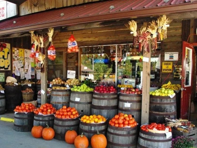 不想打工的農村人,回農村做什么比較合適呢?這些項目值得一試