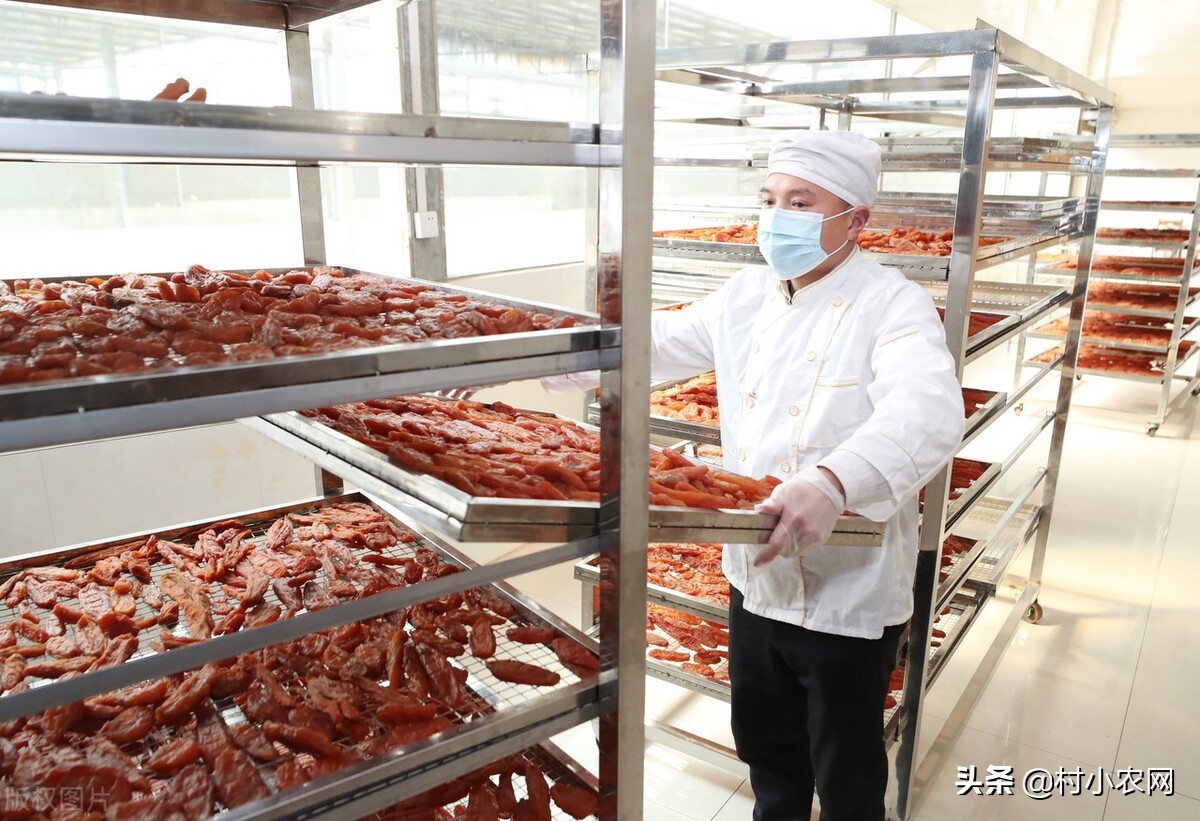 回農村創業干點什么好(農村創業8個項目)-專在家創業網