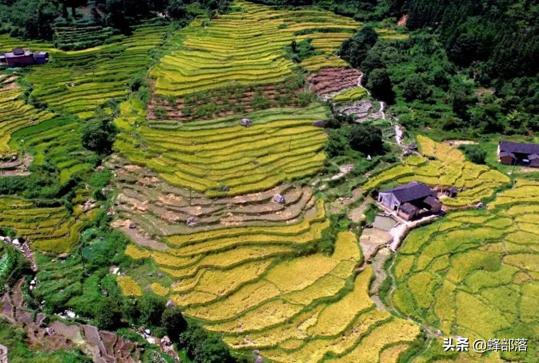 在農村做什么賺錢?分享適合年輕人在農村做的項目-專在家創業網