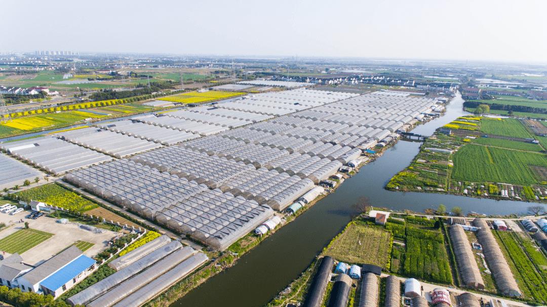 農村適合什么創業(藏在農村的暴利小生意)-專在家創業網