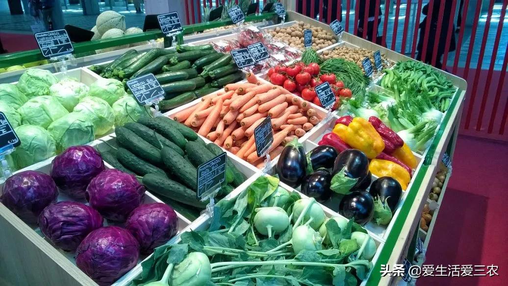 有好的點子如何創業?推薦10個農村創業的好點子-專在家創業網