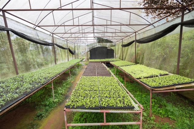 普通人在家也能開辦自己的小加工廠了，適合的項目有這幾種