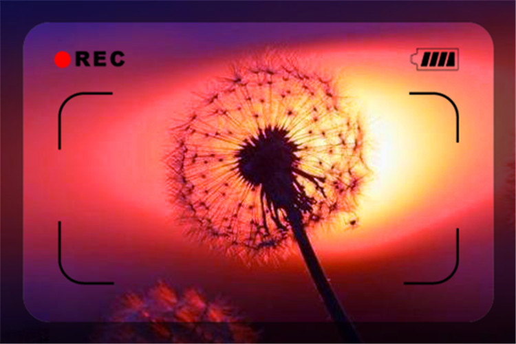 沒有創業經驗怎么寫?白手起家的經驗秘訣-專在家創業網