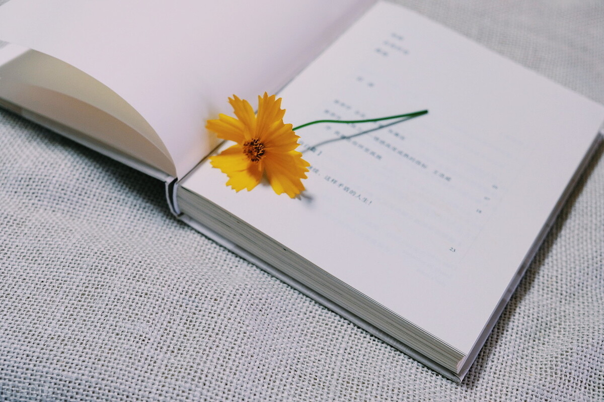 如何成為讀者的簽約作家-專在家創(chuàng)業(yè)網(wǎng)