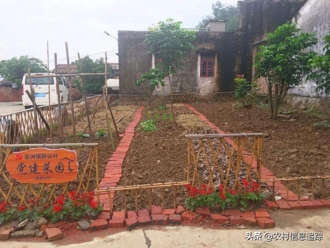 適合農(nóng)村創(chuàng)業(yè)的項目，這3個項目可以試一試，做好不比出去打工差