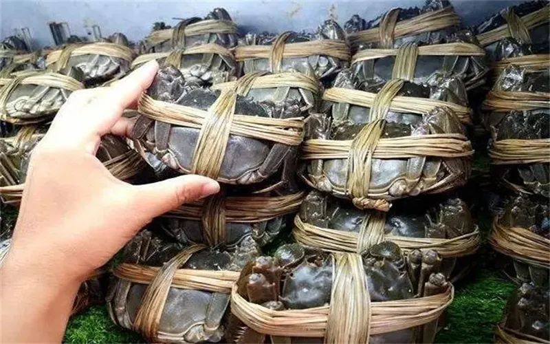 幾種不起眼的小生意，在農村有人年賺一百萬