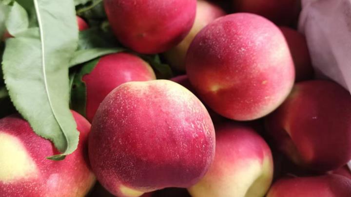 怎樣開水果店生意火爆（新手開蔬菜水果店經營技巧）-專在家創業網