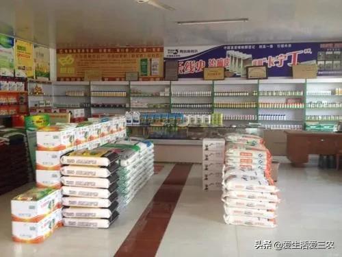 目前開什么實體店好？實體店做什么最好-專在家創業網