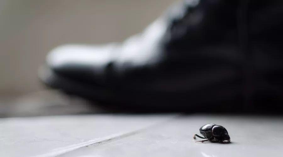 有什么好的小本創業項目？適合創業的低投資的小項目-專在家創業網