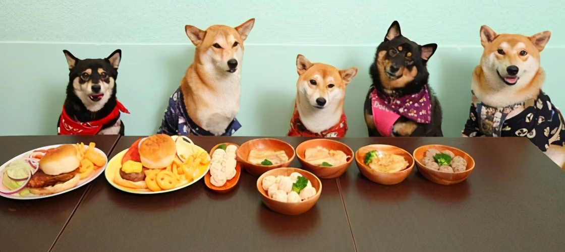 寵物行業(yè)現(xiàn)狀及機(jī)遇 為什么連鎖寵物店只能賺加盟費(fèi)