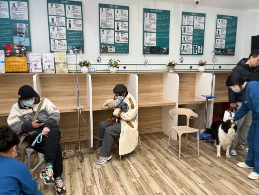 寵物行業未來發展-專在家創業網