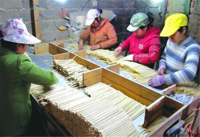 農村加工廠，這幾個項目都是投資小、見效快，并且具備發展前景