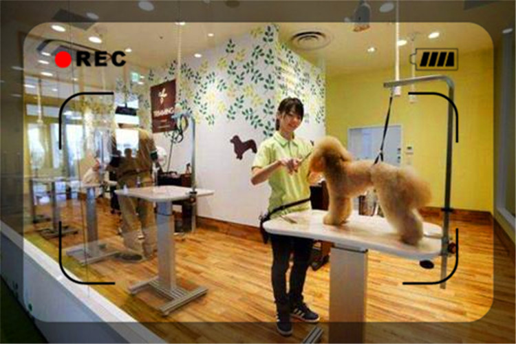 目前經濟形勢下，開什么樣的實體店比較穩妥呢？推薦幾個供參考