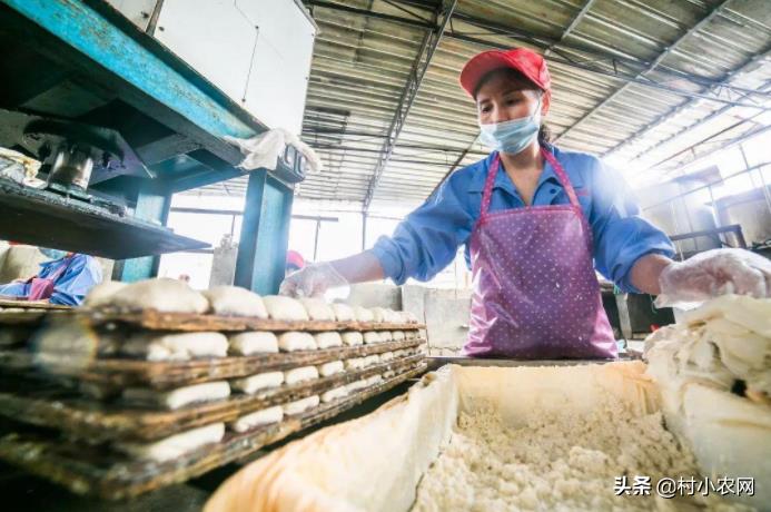 適合農(nóng)村創(chuàng)業(yè)的小項(xiàng)目有哪些啊？農(nóng)村創(chuàng)業(yè)6個(gè)項(xiàng)目-專在家創(chuàng)業(yè)網(wǎng)