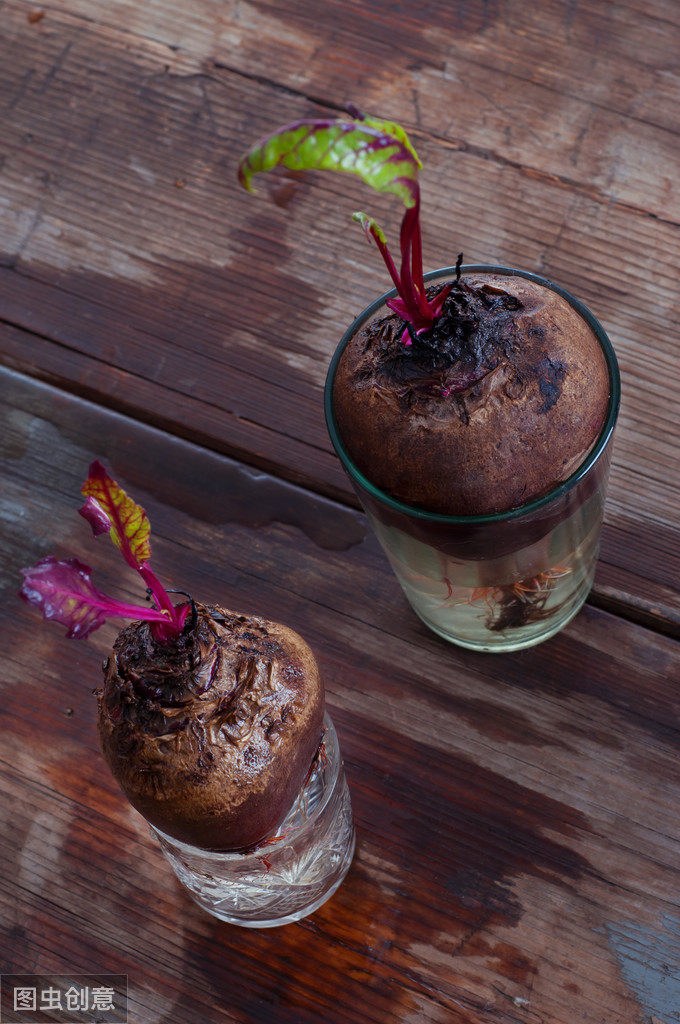 市場(chǎng)前景好的創(chuàng)業(yè)項(xiàng)目-當(dāng)下好做的創(chuàng)業(yè)項(xiàng)目-專在家創(chuàng)業(yè)網(wǎng)