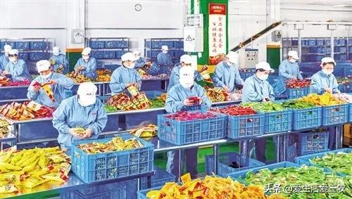 創業投資小有什么項目好做(適合農村深加工的項目)-專在家創業網