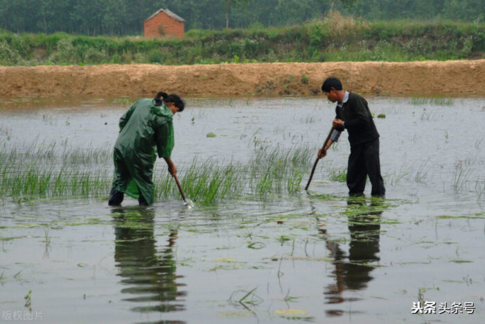 適合農村創業致富新項目(推薦4個操作簡單回本快適合農村發展的新商機)-專在家創業網