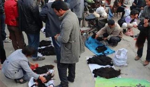 你想不到的農(nóng)村小生意,真的很賺錢(qián),想創(chuàng)業(yè)的別錯(cuò)過(guò)