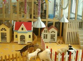 初次創業開什么店合適?最有前景的創業項目-專在家創業網