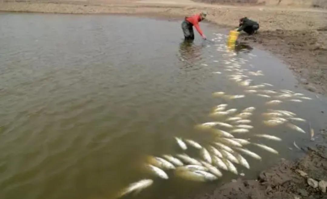 農(nóng)村創(chuàng)業(yè)要注意什么?你想知道的答案全都在這里,看看不吃虧