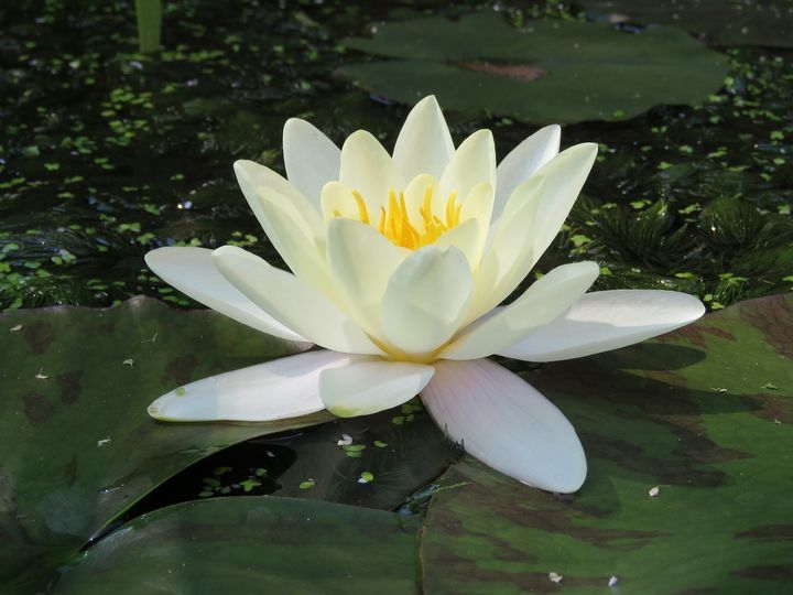 如果你想獨自創業你需要具備哪些能力？