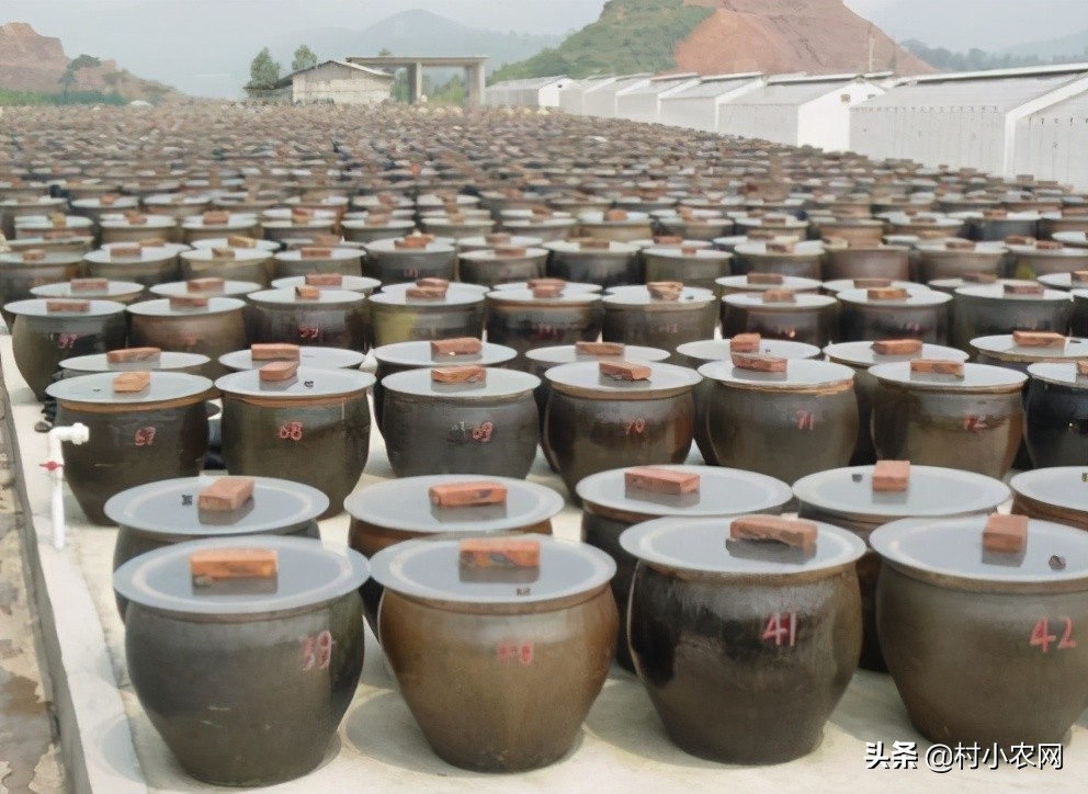 農村創業干啥最賺錢？這12個農村致富好項目，你值得一試