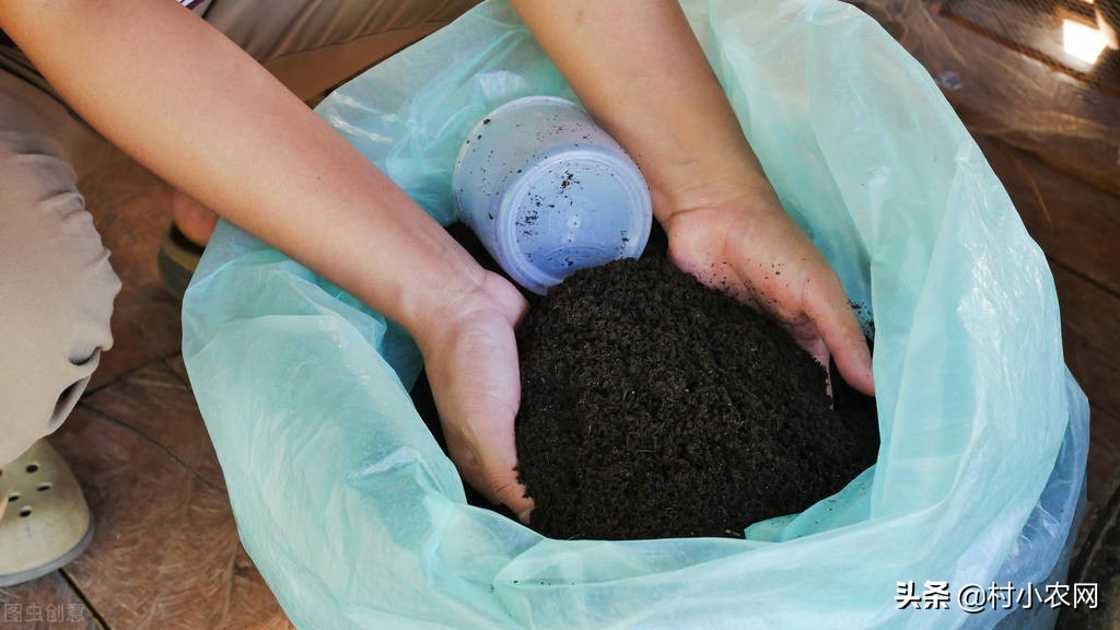 如今回農村創業，到底干啥最賺錢？這幾個項目干好了不比打工差