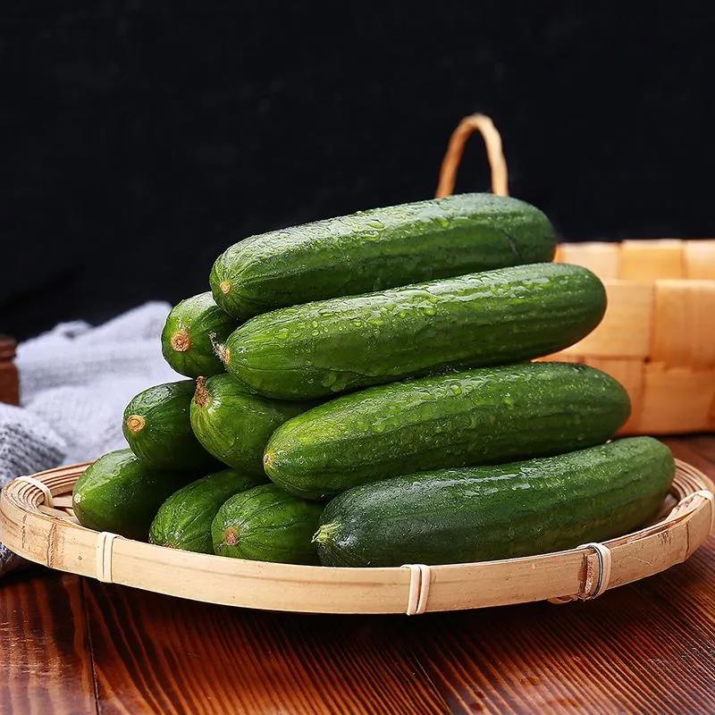 哪些種植項目不愁銷路？這些常見項目值得考慮，請收藏