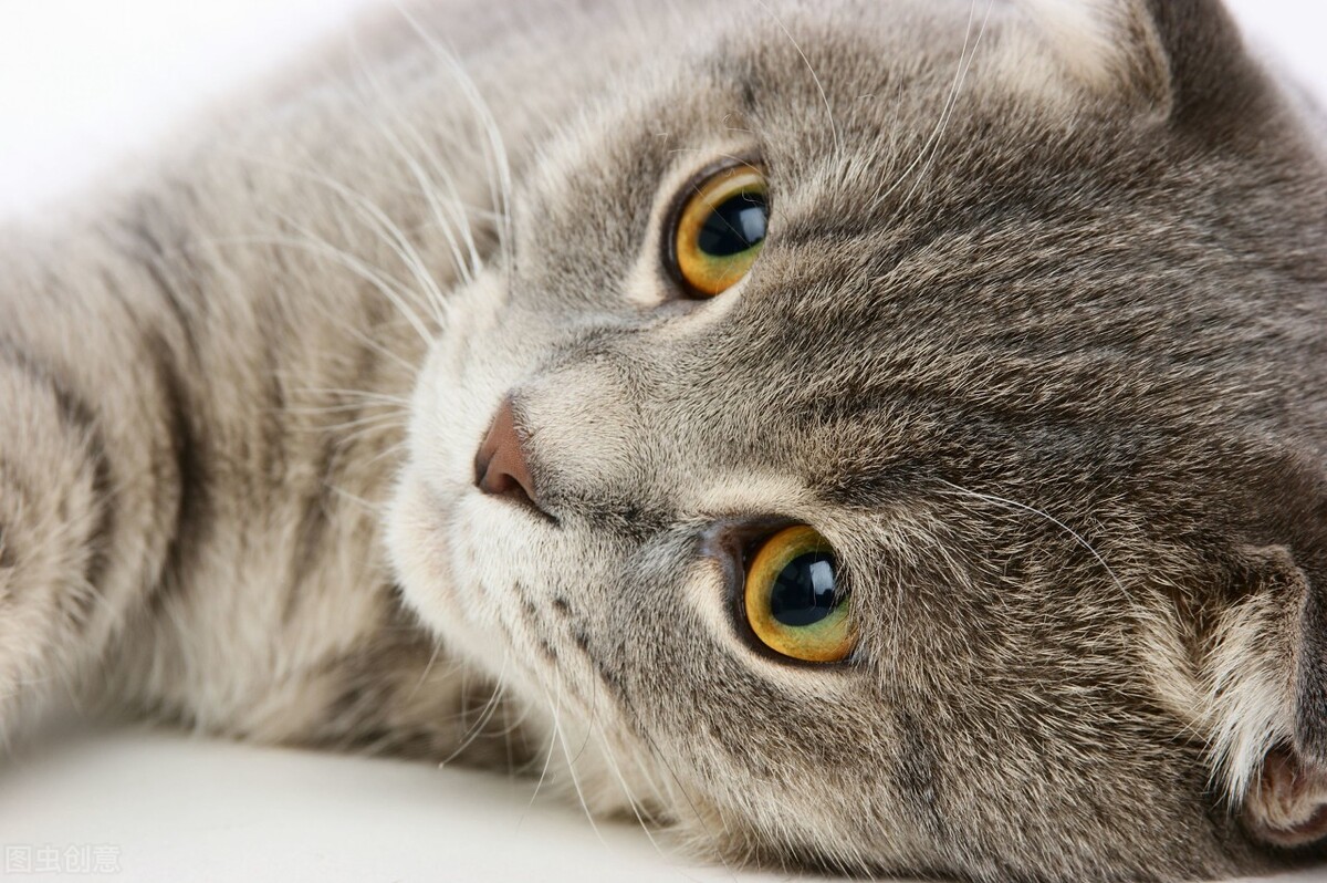 2022年投資少利潤高的，四個創業的小生意